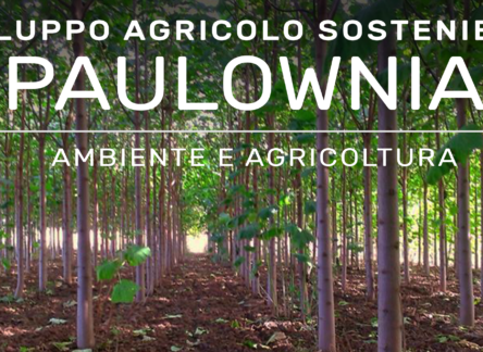 24 OTTOBRE: SVILUPPO AGRICOLO SOSTENIBILE CON LA PAULOWNIA