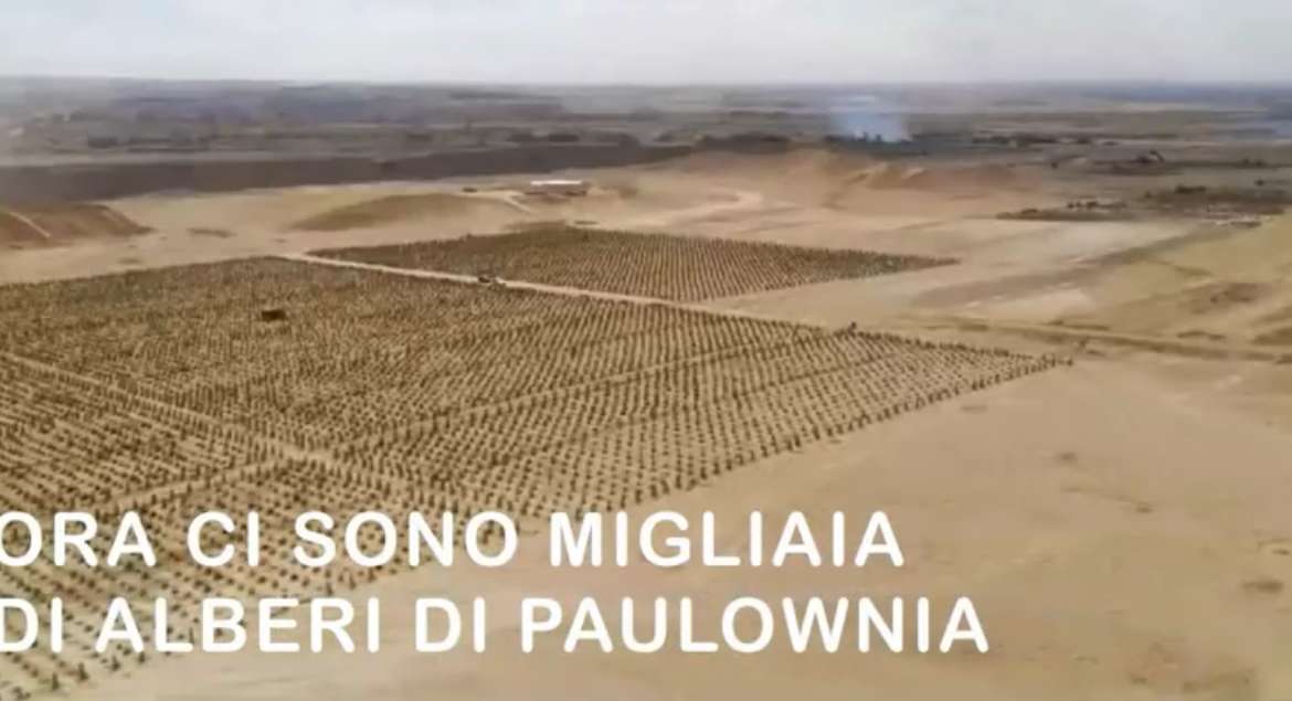 100MILA ALBERI NEL DESERTO: É LA PAULOWNIA