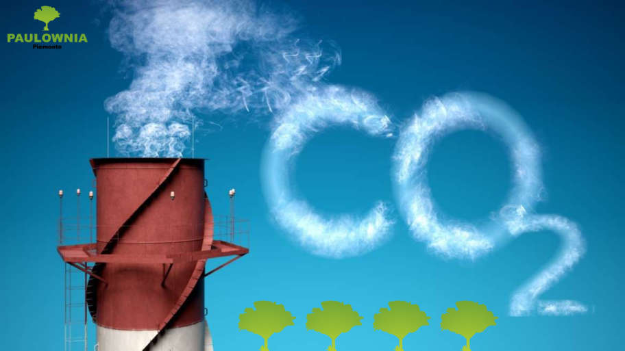 LA TUA AZIENDA COMPENSA LA CO2 EMESSA?