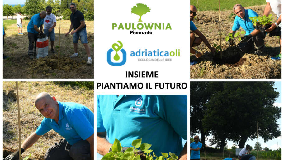 Adriatica Oli compensa la CO2 piantando decine di alberi di Paulownia