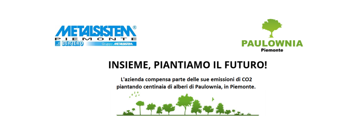 Metalsistem Piemonte compensa la CO2 piantando centinaia di alberi di Paulownia